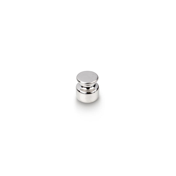 KERN & SOHN 307-01 OIML E1, 1 g, Individual Weight