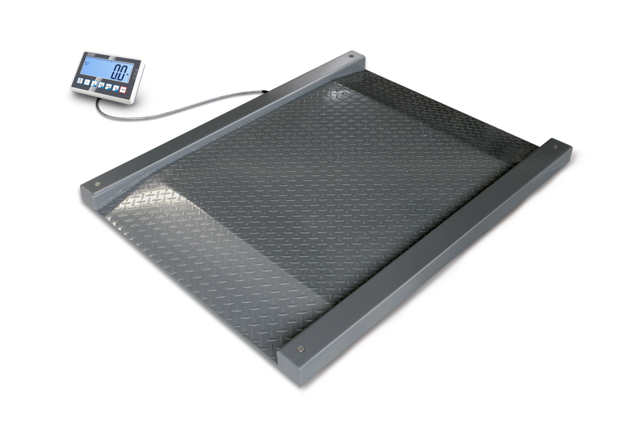 KERN & SOHN NFC 600K-1M NFC Truck Scale, 600 kg Capacity, 0.2 kg Readability, IP67 Rated, RS-232 / USB