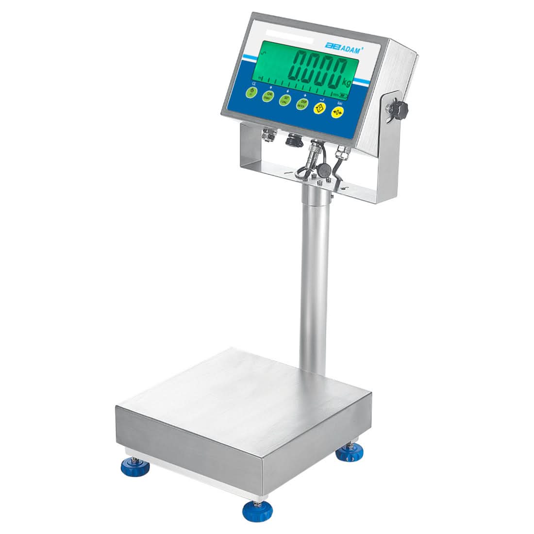 Adam Equipment GGS 65a Gladiator Washdown Scale, 30 kg Capacity, 2 g Readability, NSF - 1130014515 - Washdown Scales - Adam Equipment - Weighcore